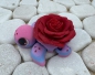 Preview: Baby Rosenschildkröte
